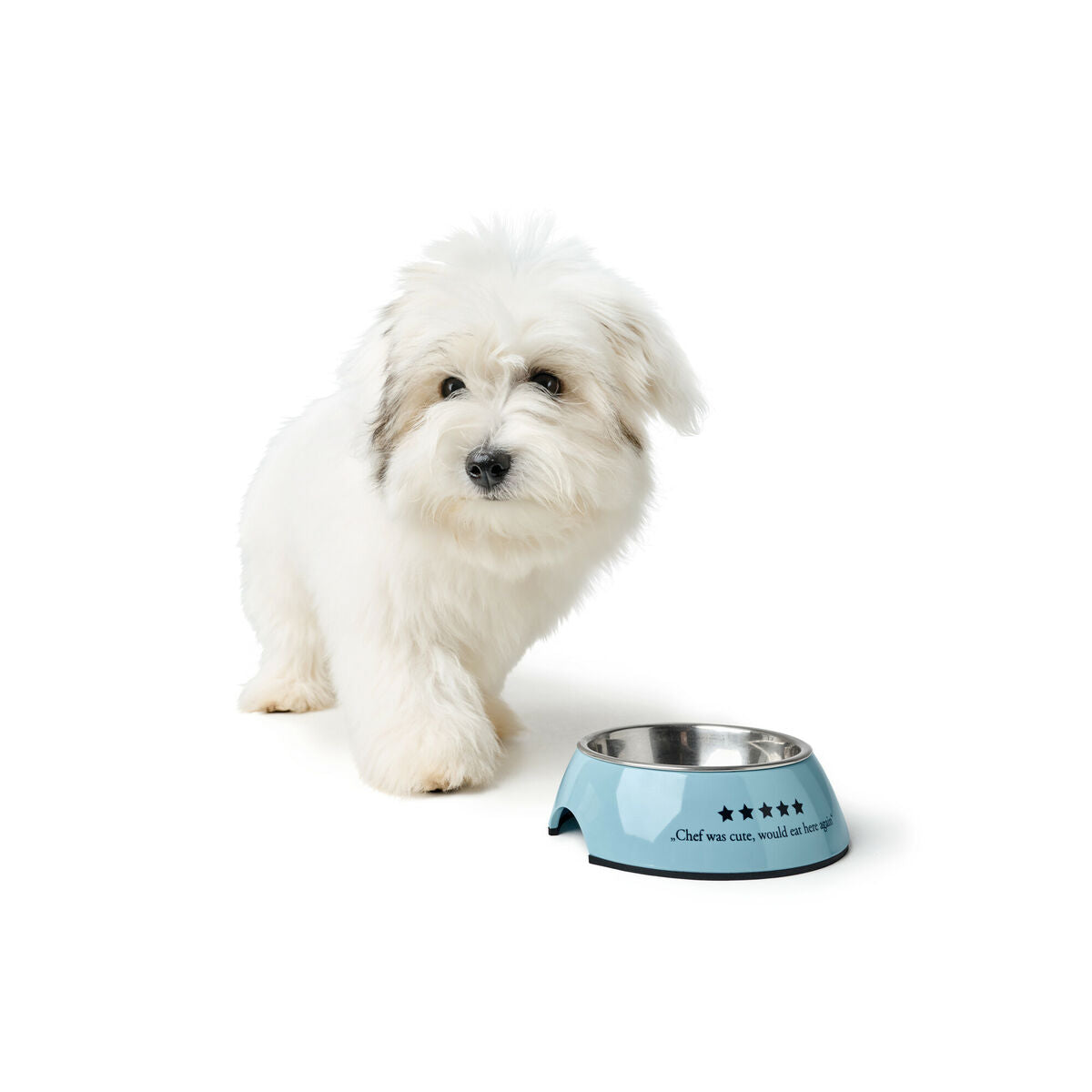 Dog Feeder Hunter Mayfair Blue 350 ml